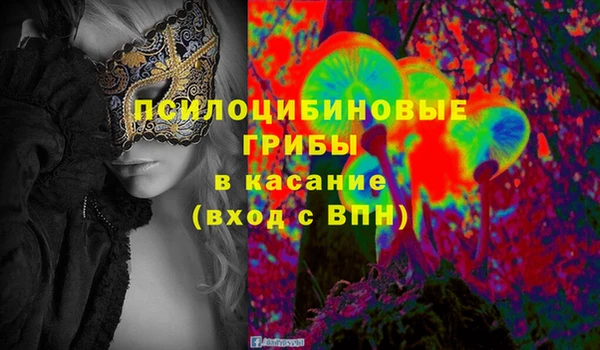 хмурый Ельня
