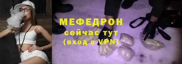 хмурый Ельня
