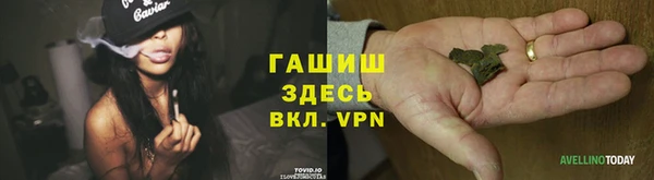 хмурый Ельня