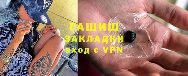 хмурый Ельня