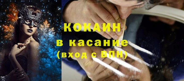 хмурый Ельня